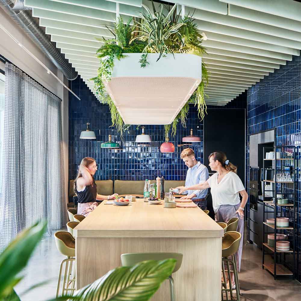 Baumhaus-Hassia_1000x1000-1